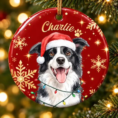 261008_UCTCEc8fkydbmU5O_large